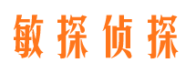 大理市调查公司